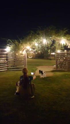 お知らせです(^^)の記事動画