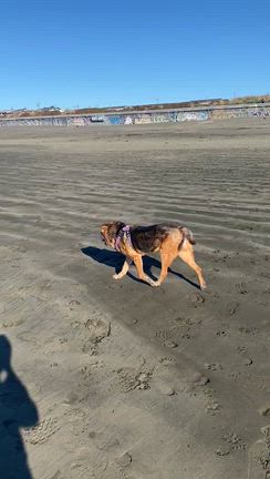 ハッピーフライデーの記事動画