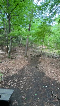 この週末も思いっきり楽しみました❤️の記事動画