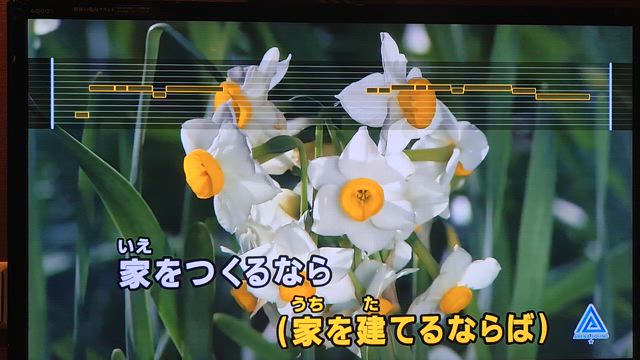 カラオケ • 大森元貴の記事動画