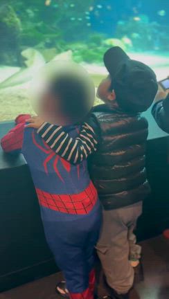 キュンキュンしたの記事動画