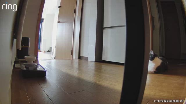 12月11日(木)余裕を持って…の記事動画