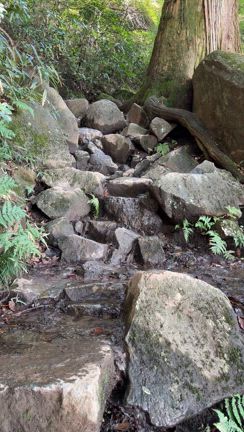 ハマるとヤバいと分かっていてもの記事動画