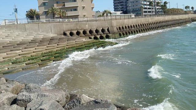 海を観にの記事動画
