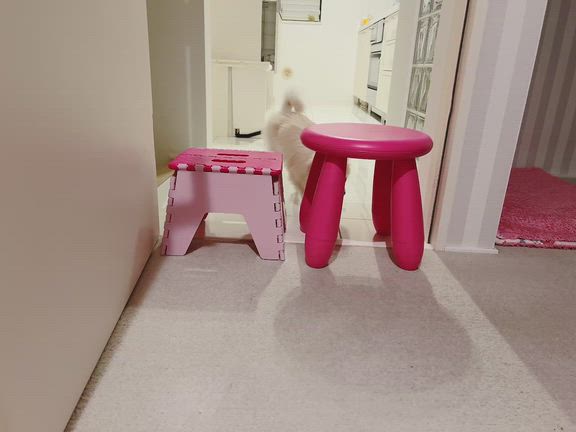 ☆エルchan♪パワーアップ☆の記事動画