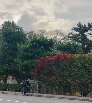 一気に真冬ですね⋯(´ﾍ｀；)の記事動画