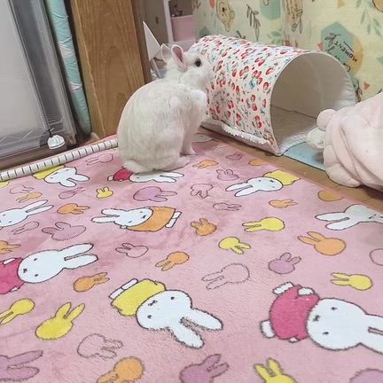 片想い？の記事動画