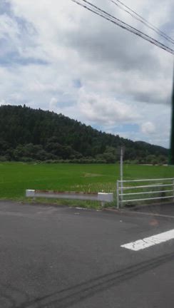 鹿児島へ来ましたの記事動画