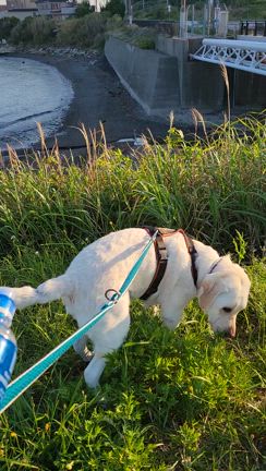 07年04月27日①　俺の相棒の記事動画