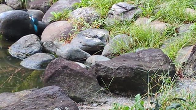 素敵な出会いの記事動画