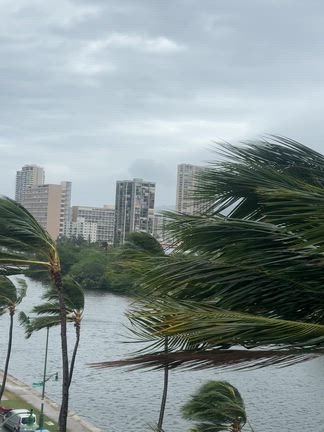 嵐のハワイ！の記事動画