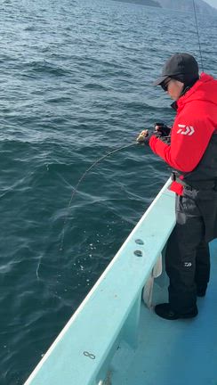 1月19日(月)  青物ボコボコです‼️の記事動画