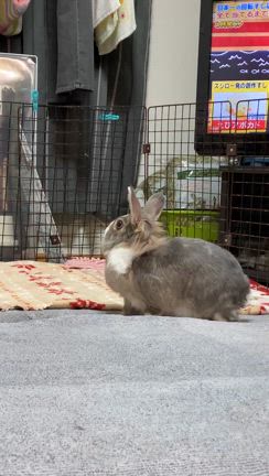 もぅ3年だねの記事動画