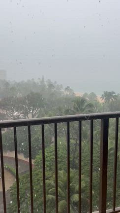 ホノルルマラソンの翌日の朝〜ワイキキ４日目①の記事動画