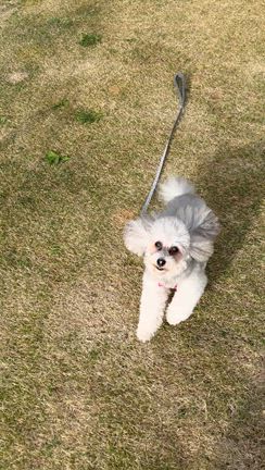 みんなそれぞれの記事動画