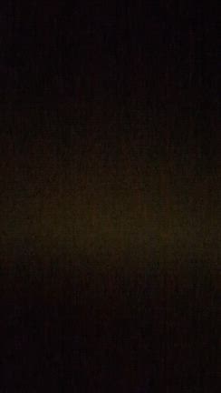 2月24日火曜日の記事動画