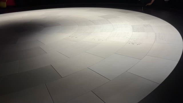 日本館の水の記事動画