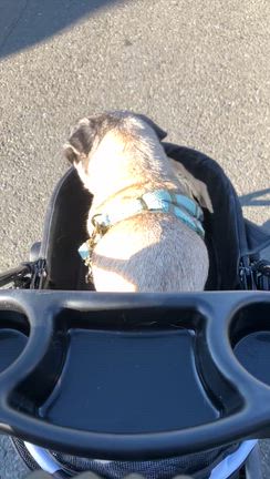 穏やかに下準備の記事動画