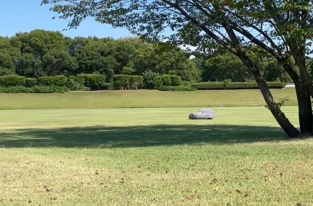 エミール水辺のワッフルカフェでお茶して来たよの記事動画