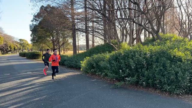 No.779 裏水元練 ペース走21kmの記事動画