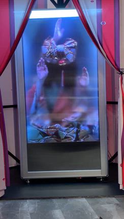 モノノケ アート サーカス で祝祭の呪物室を見てきたの記事動画