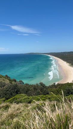 美腸で真の健康を手に入れる！の記事動画