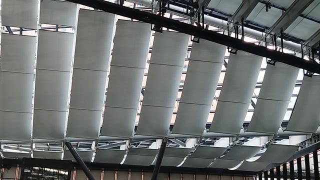 きのうのことの記事動画