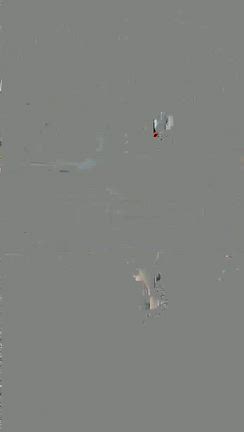 歌・サイン・写真の記事動画