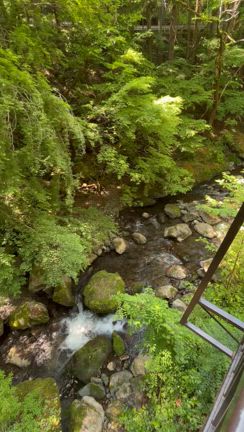 息抜きと癒しと未来に向けての記事動画