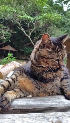 アー写撮影でした♪の記事動画