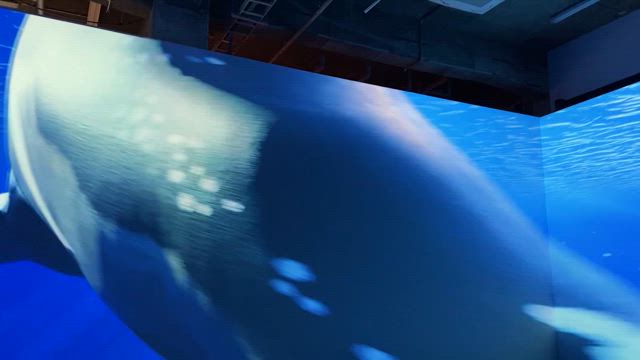東京旅は、機内で予定を決める旅の記事動画
