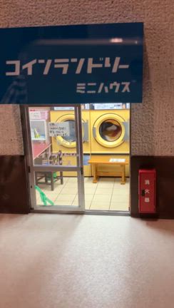 ♪ミニチュアとフラワーと酒粕ソフトと…♪の記事動画