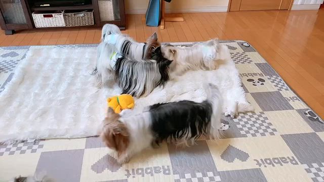 スクスク元気に成長していますの記事動画