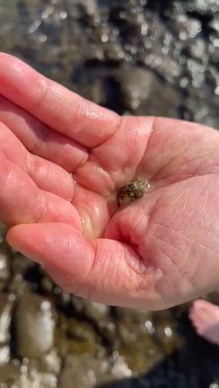 江ノ島参拝 &amp; お茶会 ご報告。＾＾の記事動画