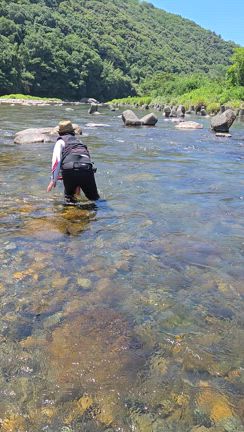 匹見川のアユ釣り　まとめの記事動画