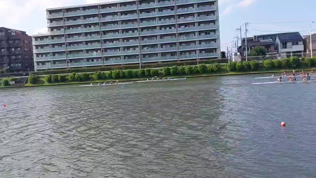 ありがとう！お疲れ様！の記事動画