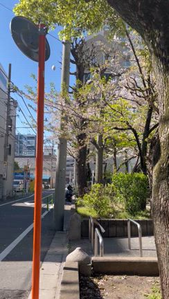 枠を外す。の記事動画