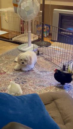 やっちゃん やっちゃんさんのプロフィールページ