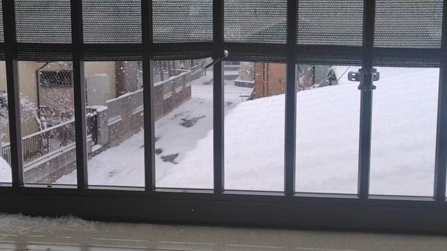 雪だよの記事動画