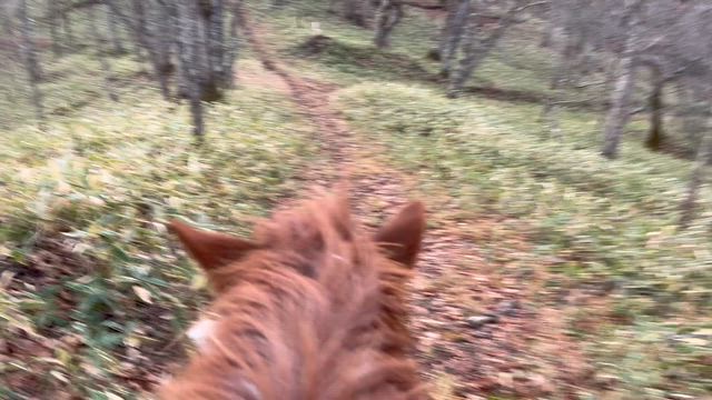 予報にないあられの記事動画