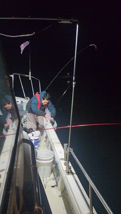 令和7年2月22日仲丸釣果の記事動画