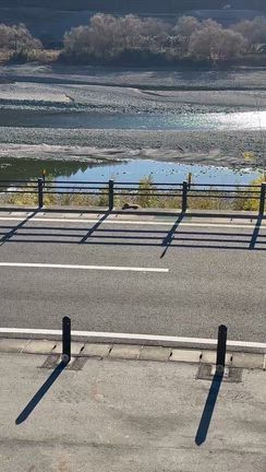 またっ！の記事動画