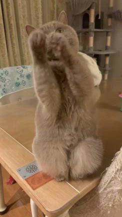 我が家の命綱の？アレが壊れたの記事動画