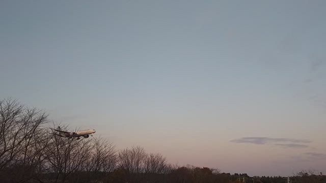 成田空港へ(さくらの山公園)の記事動画