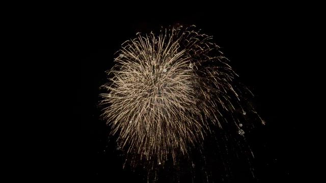 炎の祭りの記事動画