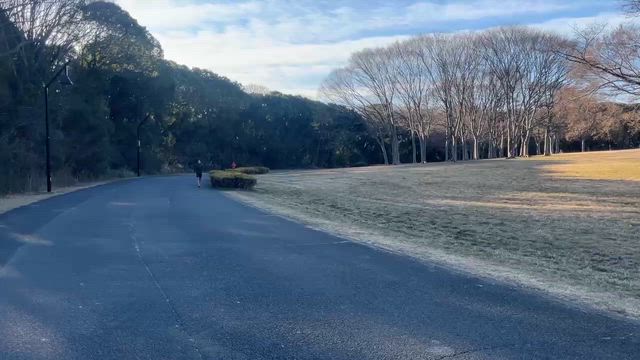 No.779 裏水元練 ペース走21kmの記事動画