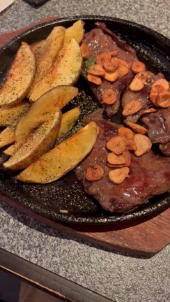 志しを共に❣️シルキーカットと愉快な仲間たち✂️の記事動画