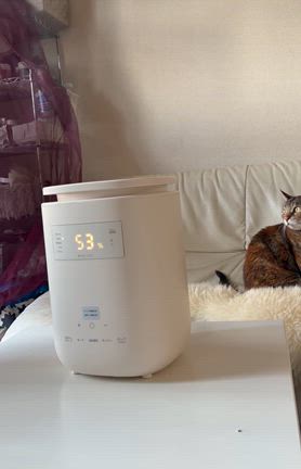 入荷待ちも納得。思った以上に暖かい「省エネ・スチーム式加湿器」の記事動画
