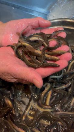 ９月５日（木）☆いろいろ入荷情報～と９月の営業スケジュールの記事動画