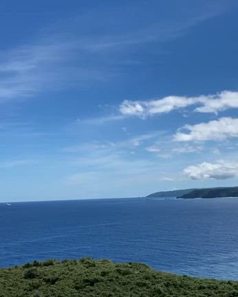 ありがとう奄美の記事動画